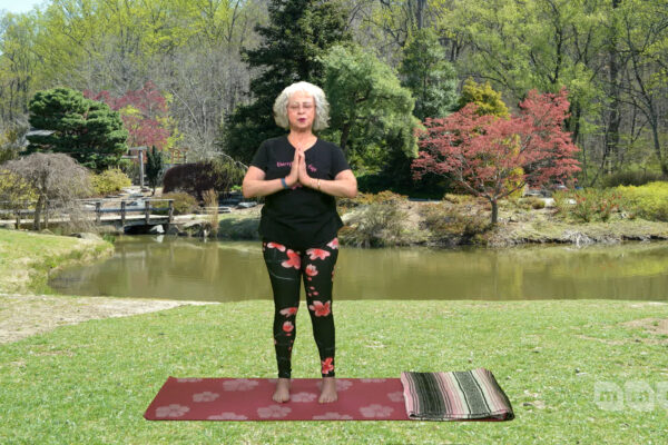 Cherryblossom Yoga: Quieting the Mind